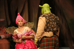 Shrek-Sugar-Plum