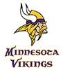 Minnesota Vikings costume